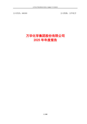 Miniature Wanhua Chemical Rapport annuel 2025