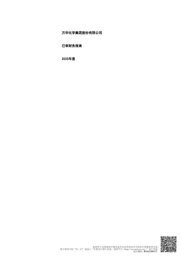 Miniature Wanhua Chemical Bilan financier 2025