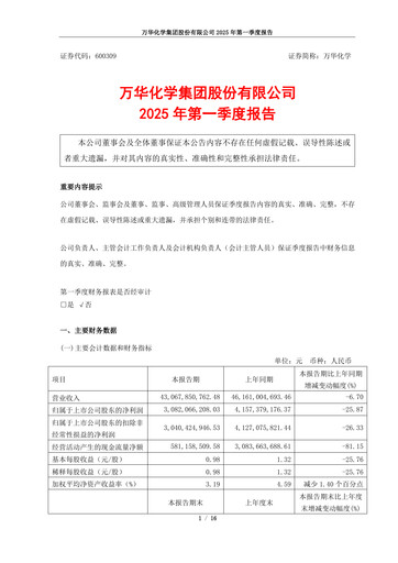 Thumbnail Wanhua Chemical Quarterly Report 2025-q1