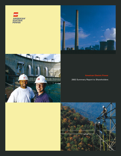 Miniature American Electric Power Rapport annuel 2002
