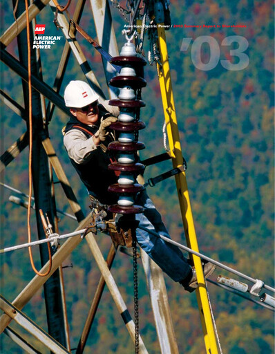 Miniature American Electric Power Rapport annuel 2003
