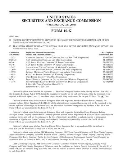 Thumbnail American Electric Power Financial Report 2002