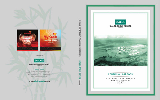 Thumbnail Dialog Group Financial Statement 2017