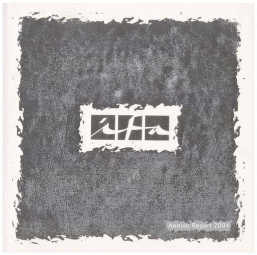 Miniature International Financial Advisors Holding Rapport annuel 2004