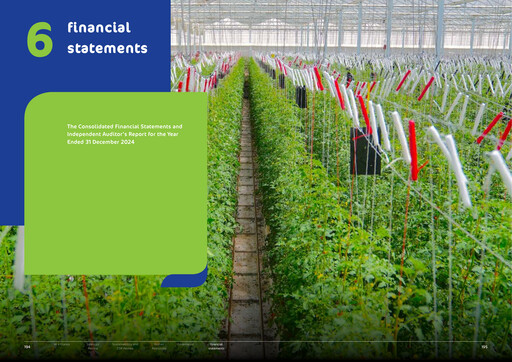 Thumbnail The National Agricultural Development Company Financial Statement 2024