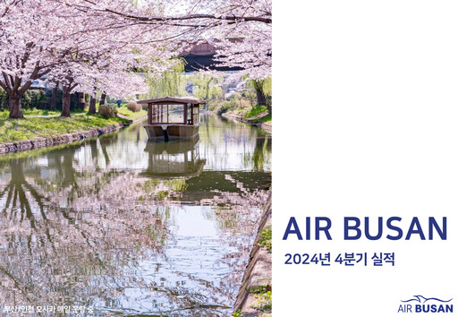 Thumbnail Air Busan
 Quarterly Report 2024-q4
