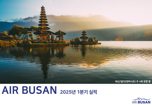 Thumbnail Air Busan
 Quarterly Report 2025-q1