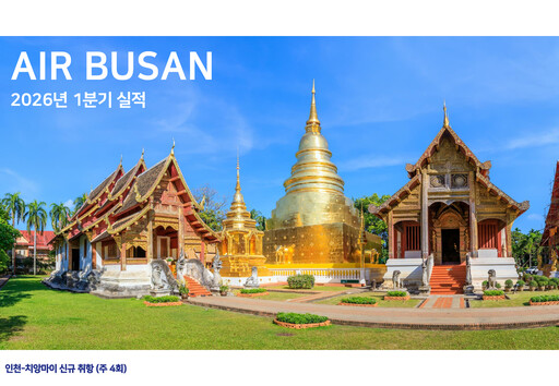Thumbnail Air Busan
 Quarterly Report 2026-q1