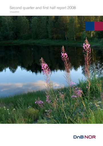 Thumbnail DNB Financial Statement 2008-h1