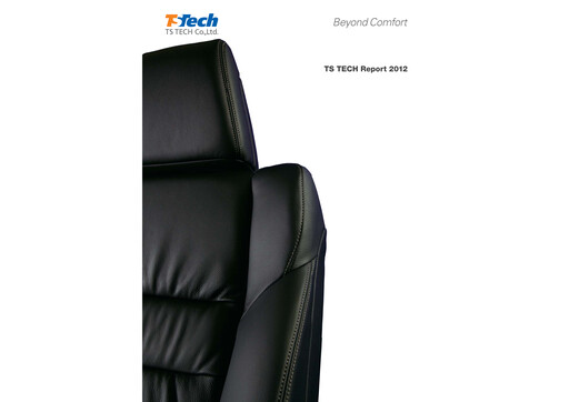 Vorschaubild TS TECH Jahresbericht 2012