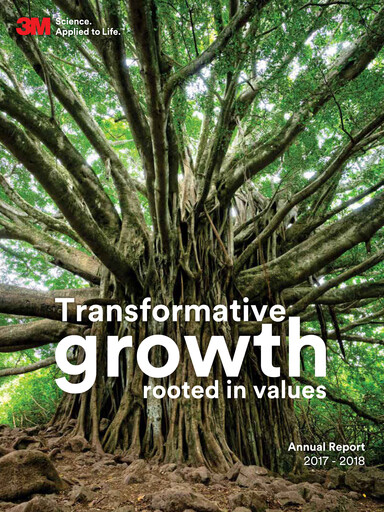 Thumbnail 3M India Annual Report 2017-2018