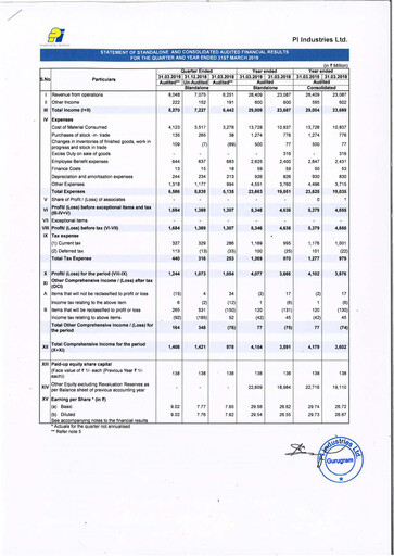 Thumbnail PI Industries Financial Statement 2019