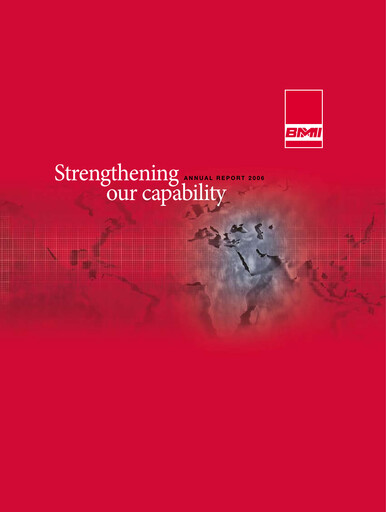Vorschaubild BMMI Group Jahresbericht 2006