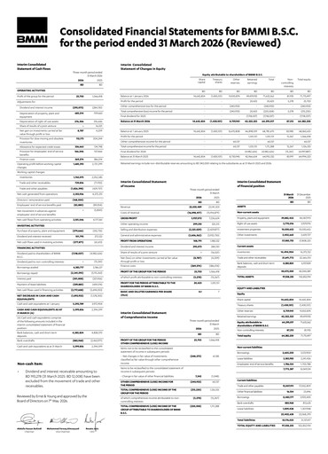 Thumbnail BMMI Group Quarterly Report 2026-q1
