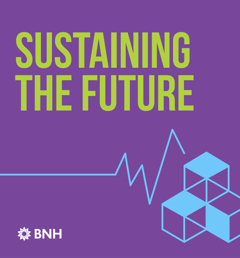 Vorschaubild Bahrain National Holding ESG-Bericht 2020