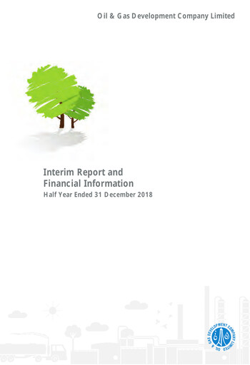 Miniature Oil & Gas Development Company Rapport semestriel 2019-h1