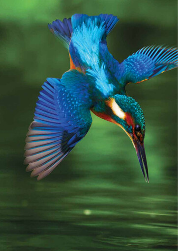 Thumbnail Lucky Core Industries (LCI) Sustainability Report 2015