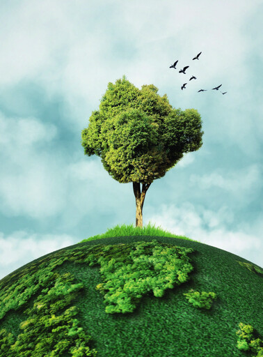 Thumbnail Fauji Cement Company Sustainability Report 2025