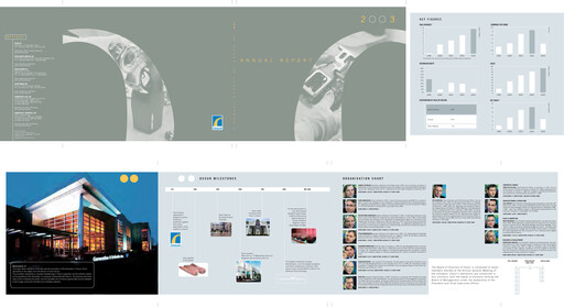 Thumbnail Embla Medical Annual Report 2003