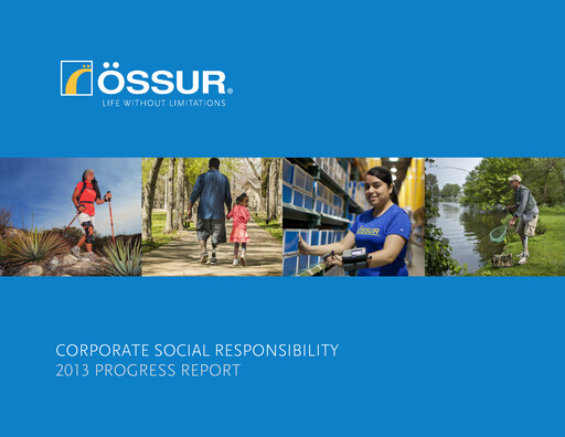 Thumbnail Embla Medical Sustainability Report 2013