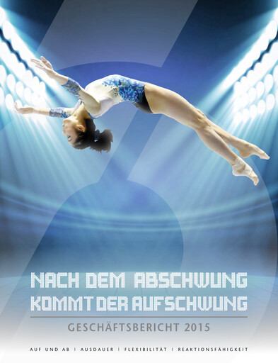 Thumbnail Schoeller-Bleckmann Oilfield Equipment Annual Report 2015