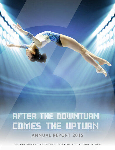 Thumbnail Schoeller-Bleckmann Oilfield Equipment Annual Report 2015