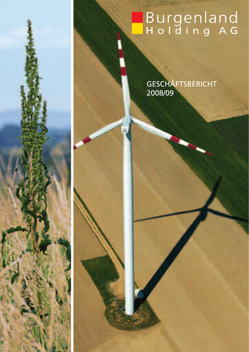 Thumbnail Burgenland Holding Annual Report 2009