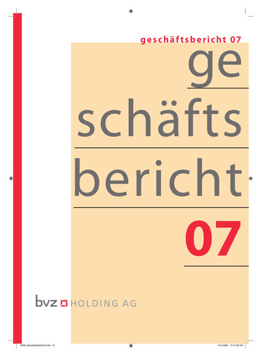 Miniature BVZ Holding Rapport annuel 2007