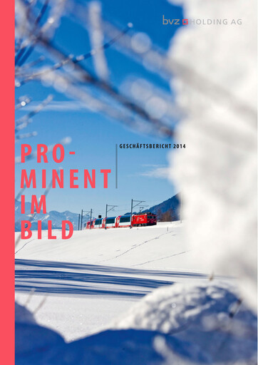 Miniature BVZ Holding Rapport annuel 2014