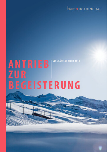 Miniature BVZ Holding Rapport annuel 2018