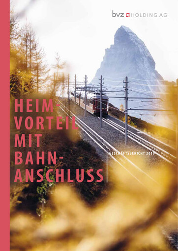 Miniature BVZ Holding Rapport annuel 2019