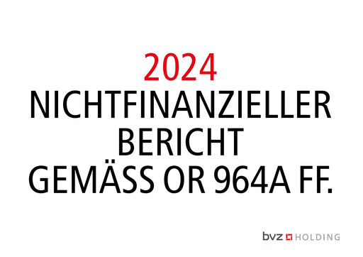 Thumbnail BVZ Holding Sustainability Report 2024
