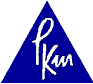 (PORTER KEADLE MOORE, LLP LOGO)