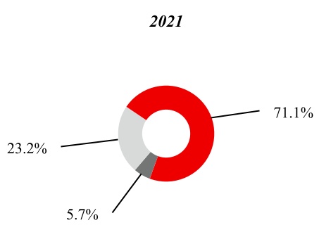 vz-20211231_g7.jpg