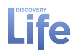 discoverylifea01.jpg